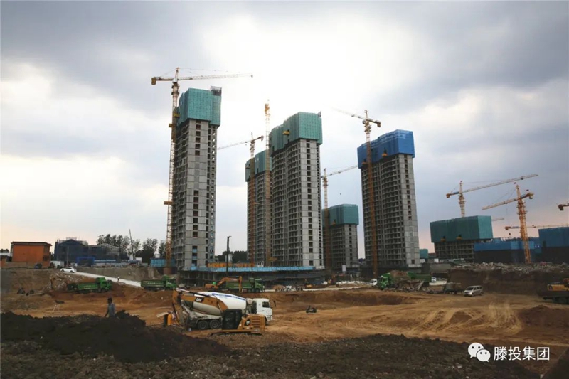 1686795540592172.jpg 4.jpg